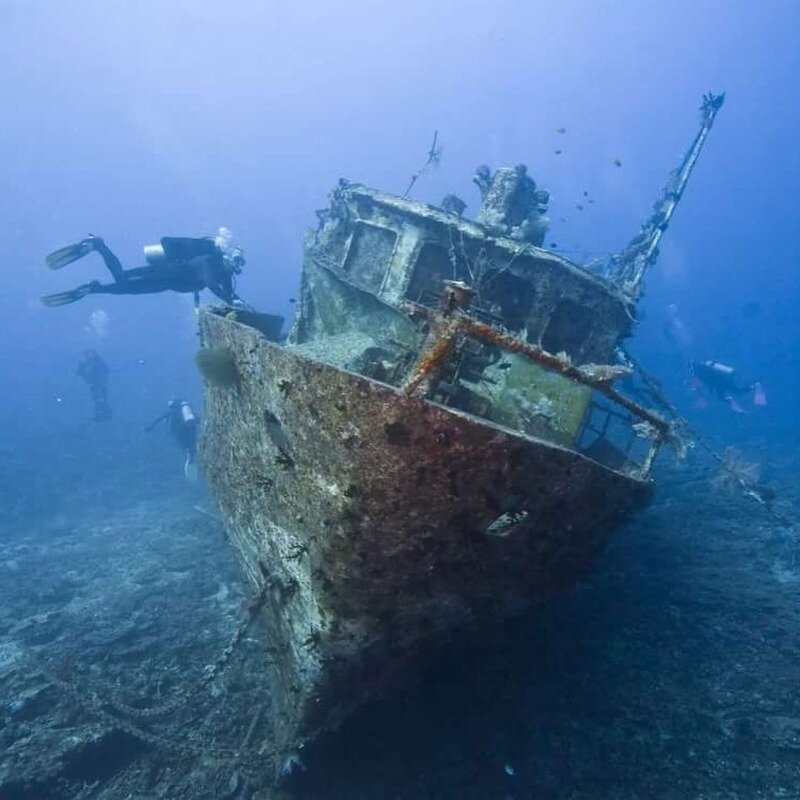 Фото https://www.instagram.com/p/CERQGpiAQfN/