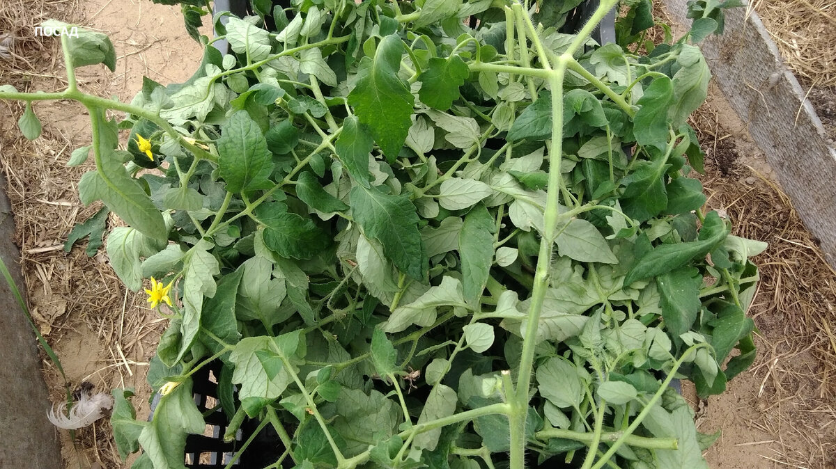 Удаляю и помногу.