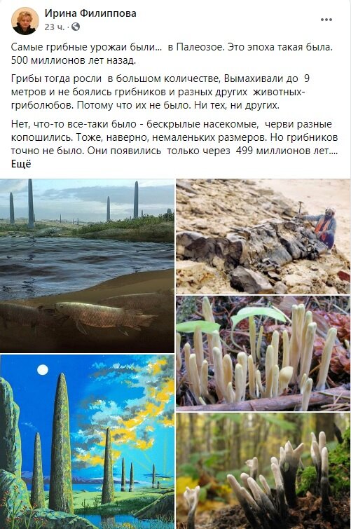 из публикации Ирины Филипповой