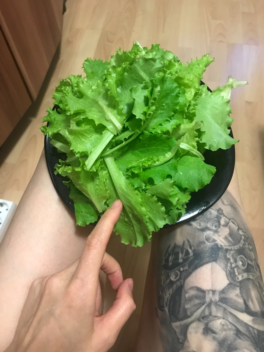 Зелень в зелени много кальция 