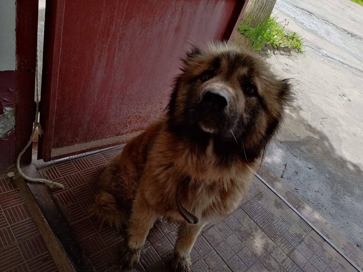 фото автора