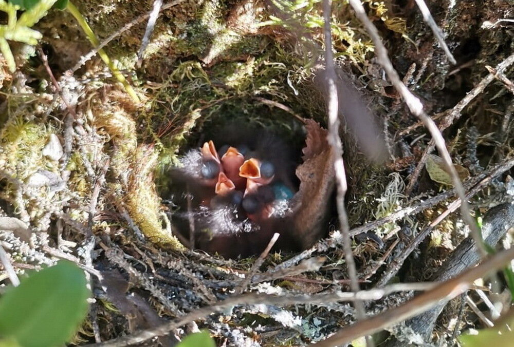 Фото А. Жерихина