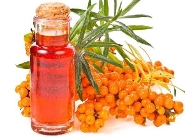 Облепиховое масло купирует воспалительные процессы в горле  и заживляет слизистую 