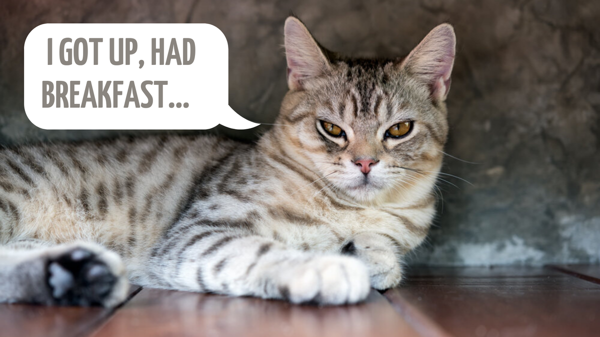 Я встал, позавтракал...