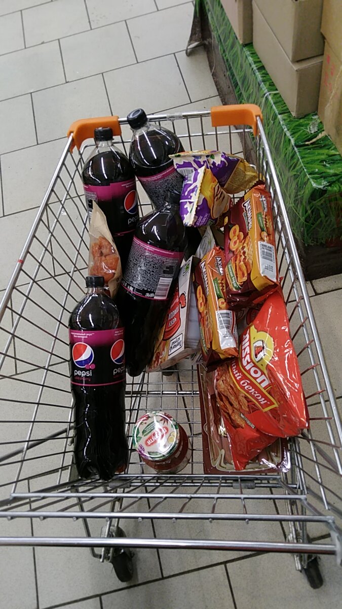 Продуктовую корзину сына я представляю примерно так. Газировка, чипсы, сладости... 
