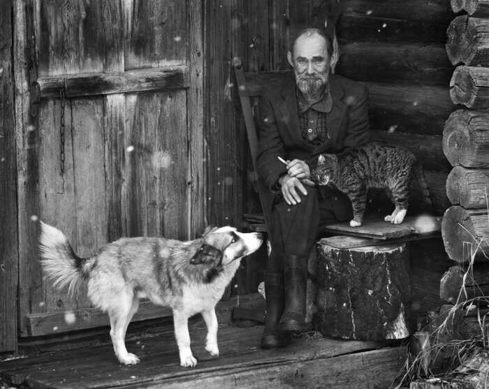 Фото из свободных источников