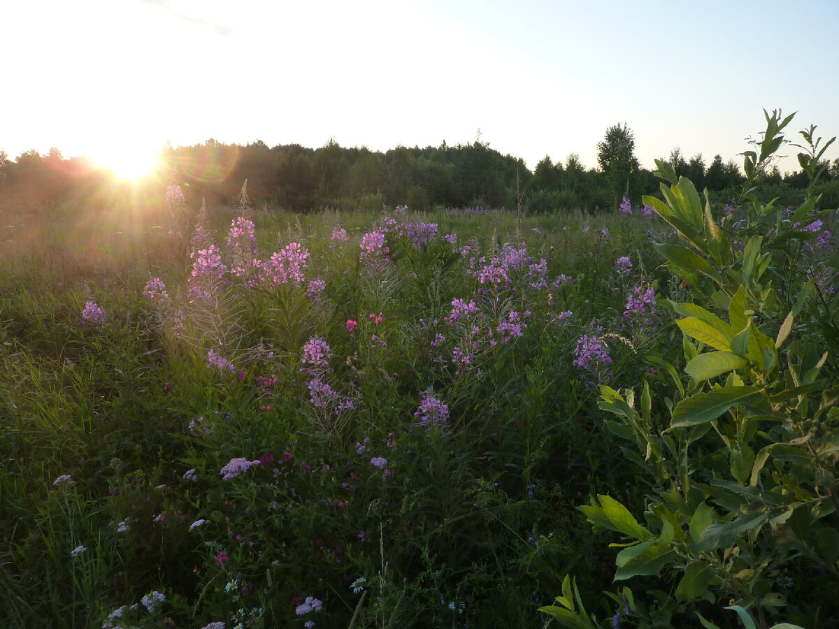 Лето. Но это Сибирь. Фото из личного архива.