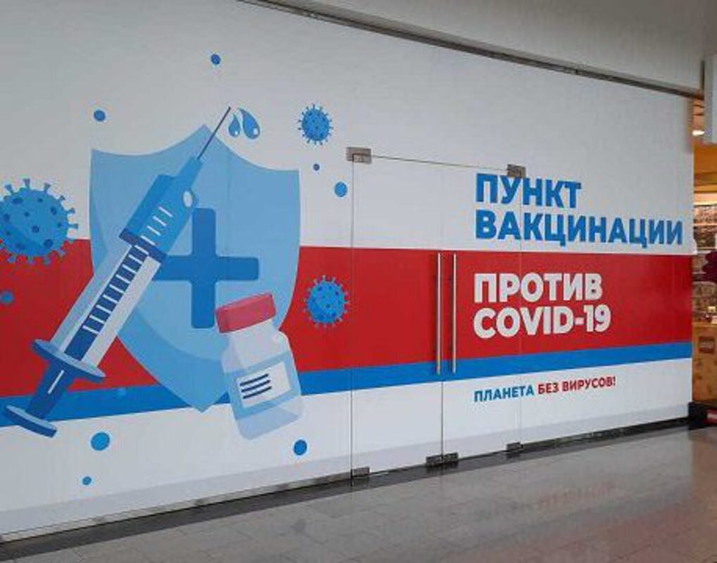 фото с яндекс картинки