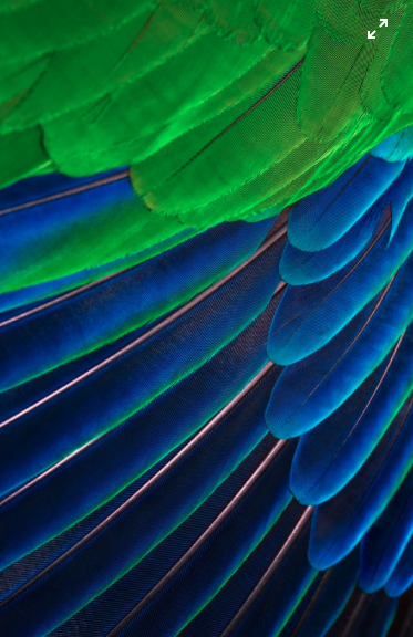 Фото unsplash.com
