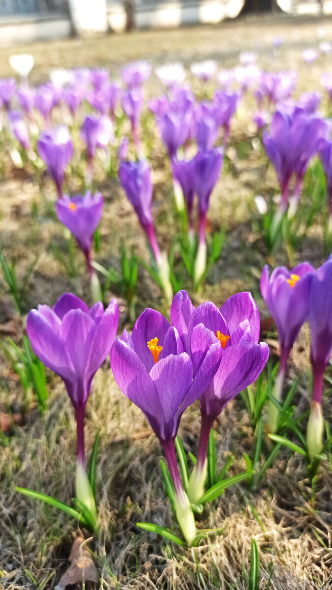 Фото автора / История, которую не замечаем