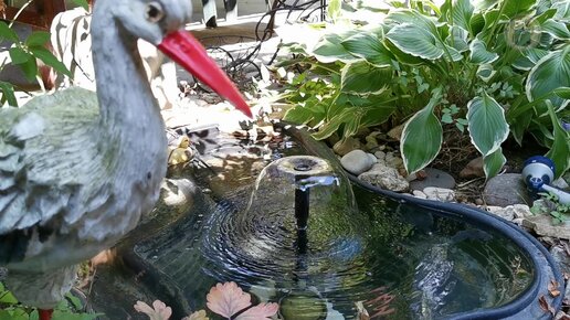 Пруд из старой ванны с фонтаном и водными растениями за 1 час