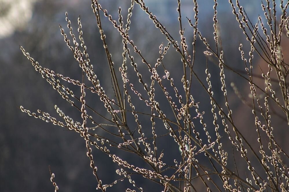 Источник фото: http://www.livemaster.ru/irina-sunduchok42