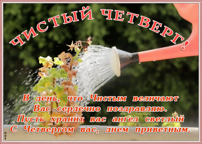все картинки взяты из открытых источников интернета.