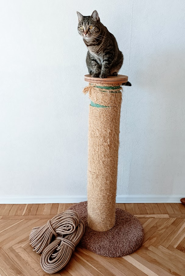 Исходные данные