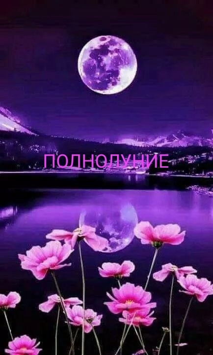  16 Мая 2022  ПОЧЕМУ НЕЛЬЗЯ ТЕРЯТЬ ГОЛОВУ СЕГОДНЯ? ЧЕМ ЭТО ГРОЗИТ? СТАВИМ ❤это и многое другое здесь 👇 Понедельник🟡В 07:14 наступает Полнолуние.Третья Лунная фаза сменяет вторую.В 12:28 начинается период Луны без курсаВ 14:50 заканчивается период Луны без курсаВ 14:50 Луна переходит из Скорпиона в знак Стрельца.🪐В 22:32 начинается 17-лунные сутки. ⚜️Символы - виноградная гроздь, колокол.Это день обретения внутренней свободы, накопления, плодородия, радости бытия, выхода на идеальную любовь.Этот день очень удачен для заключения браков - такой союз будет долгим, в нем никогда не угаснет любовь.💞День благоприятен для супружеских отношений.Этот день желательно провести как день контактов, веселья и раскрепощения, день речей, песен, овладения силовыми асанами, групповых упражнений, трансформации половой энергии.Рекомендуется употреблять холодное сухое вино или подогретый кагор - это символ познания вечности и экстаза, связи с движением, радостью.Но терять голову не рекомендуется: день несет много неконтролируемых энергий, они могут занести куда-нибудь не туда.Воздержитесь от деловой активности.Гадание.На любовь.🎯Сны довольно часто исполняются в жизни и, как правило, на третий день.Приятные, гармоничные сны говорят об успешной реализации намеченных планов.Если сон неприятен, значит вы временно лишены чувства гармонии.В медицинском отношении день связан с эндокринной системой, гипофизом, почками.🪐Экспресс прогноз#астрология#нумерология#психологияжизни#тайнаимени#ТатьянаВетер🌹https://ok.ru/group/51893415510187🌹https://www.tiktok.com/@titanik270490🌹https://instagram.com/tanichveter🌹vk.com/id182270700