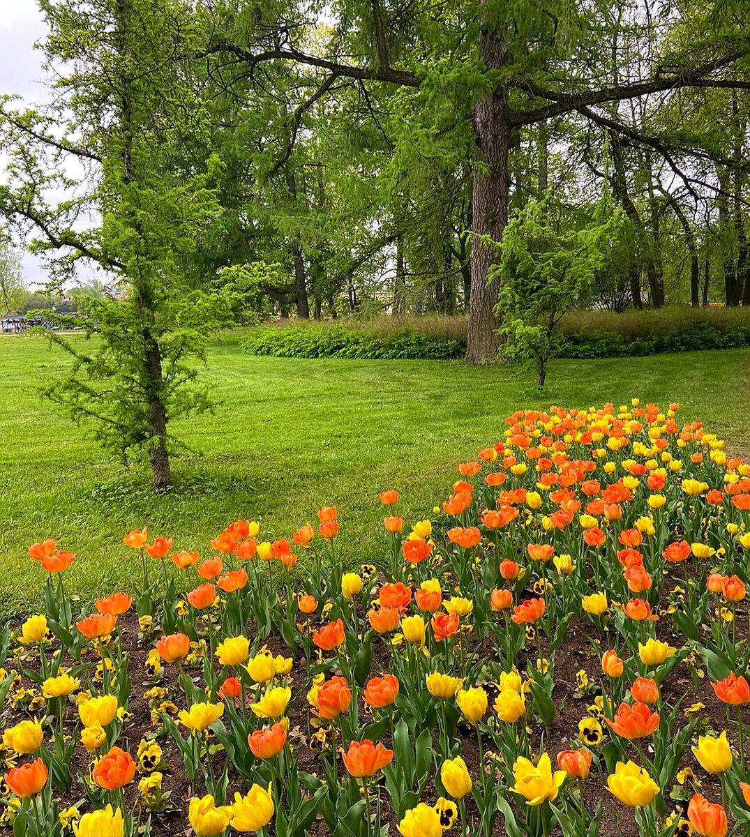 Какой покой и благодать!