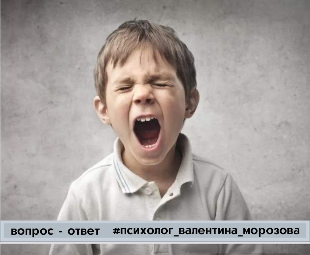 Фото взято из открытых источников