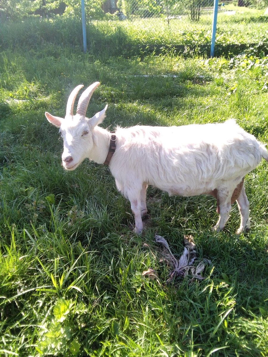 Фото автора. 