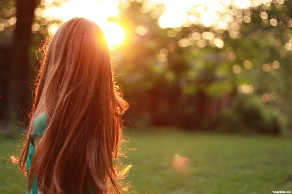 Фото из открытого источника Яндекс Картинки