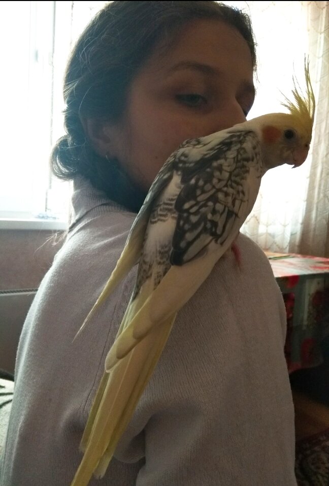 Это,собственно, я с прекрасной кореллой