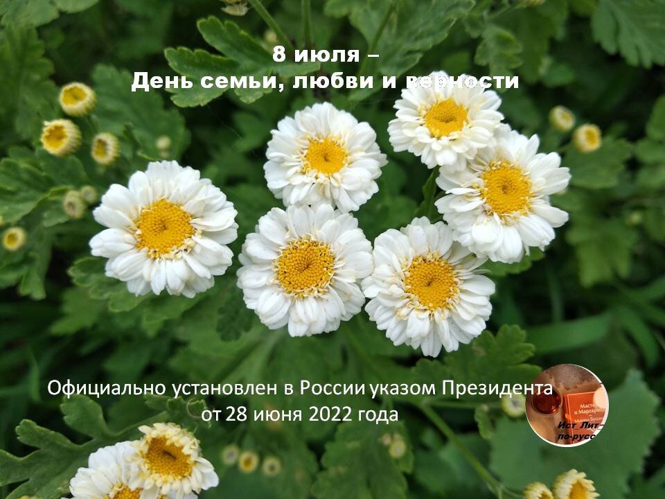 Приветствую Вас!