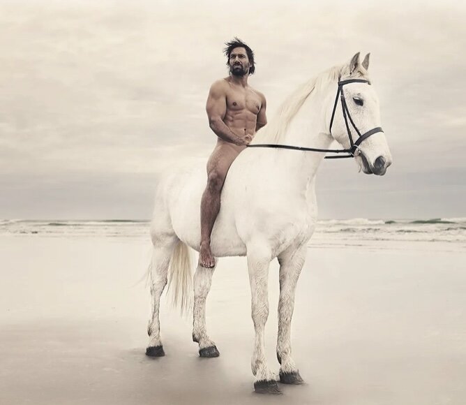 Фото жеребца взято из открытых источников