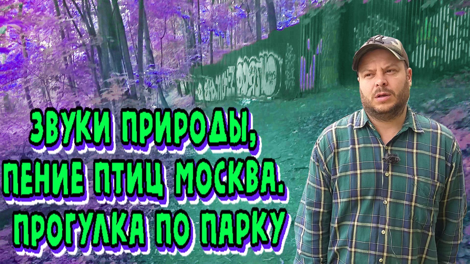 Звуки природы, пение птиц Москва. Прогулка по Парку