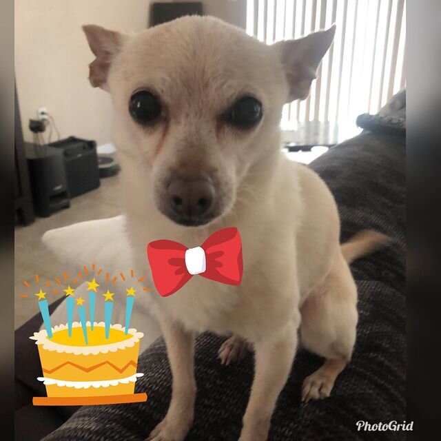 Фото: соцсети 