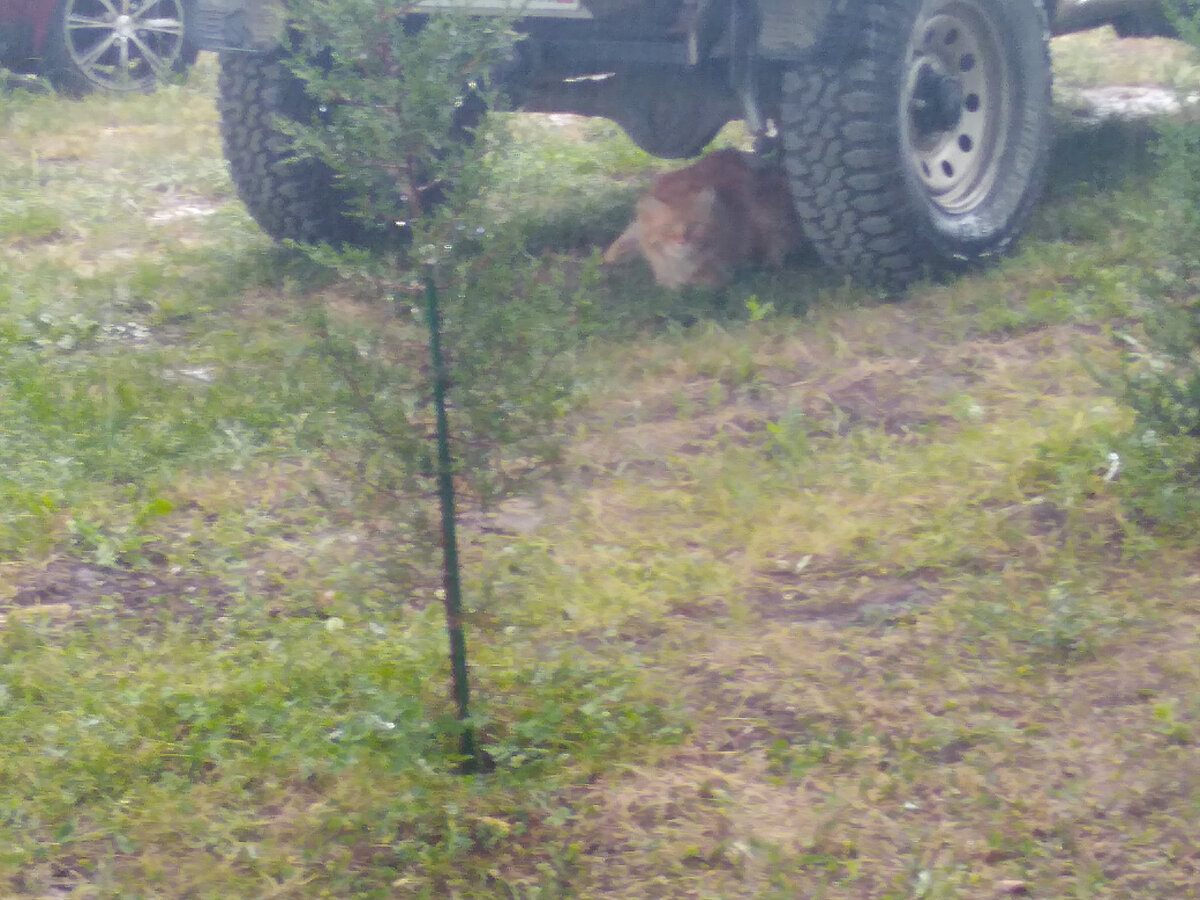 Фото вышло размытое... Ну вода ж кругом ).