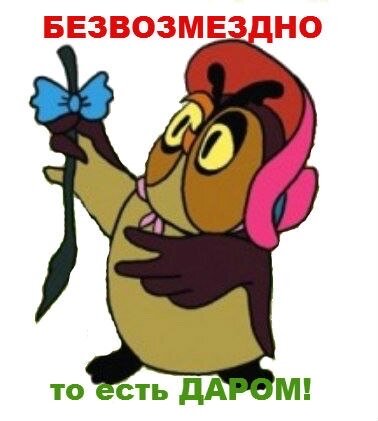 Уголовная ответственность за долги по кредитам. Где правда и ложь?