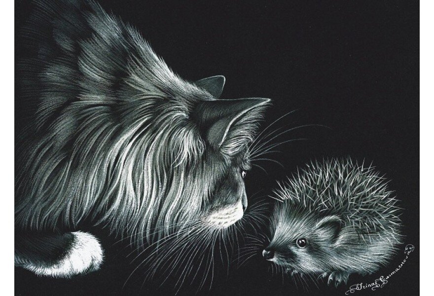 ������ �������