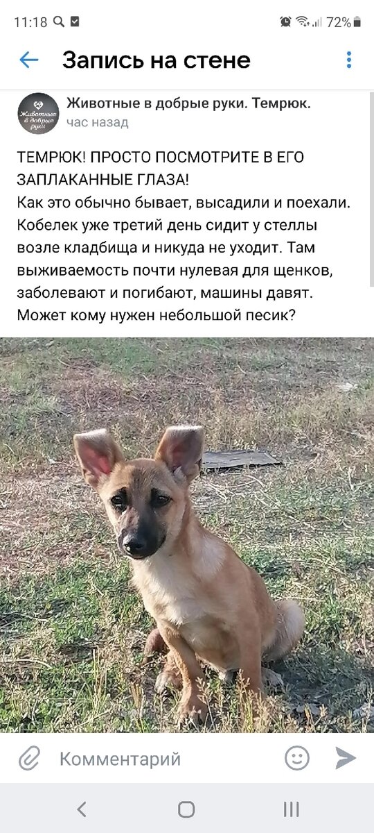 Так сидел он три дня на одном месте.