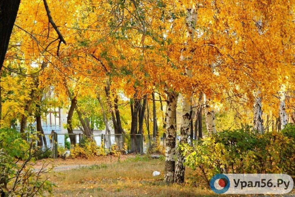    Текущая неделя в Оренбургской области обещает быть довольно теплой, но возможны осадки