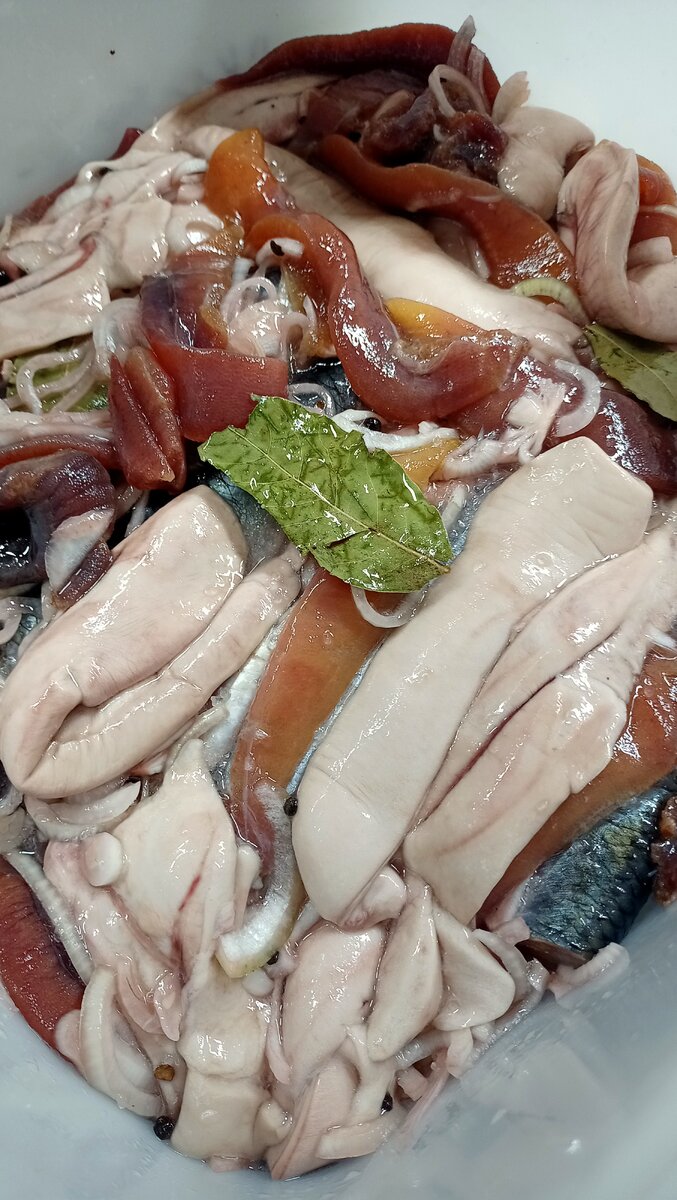 молоки и икру сельди также солим