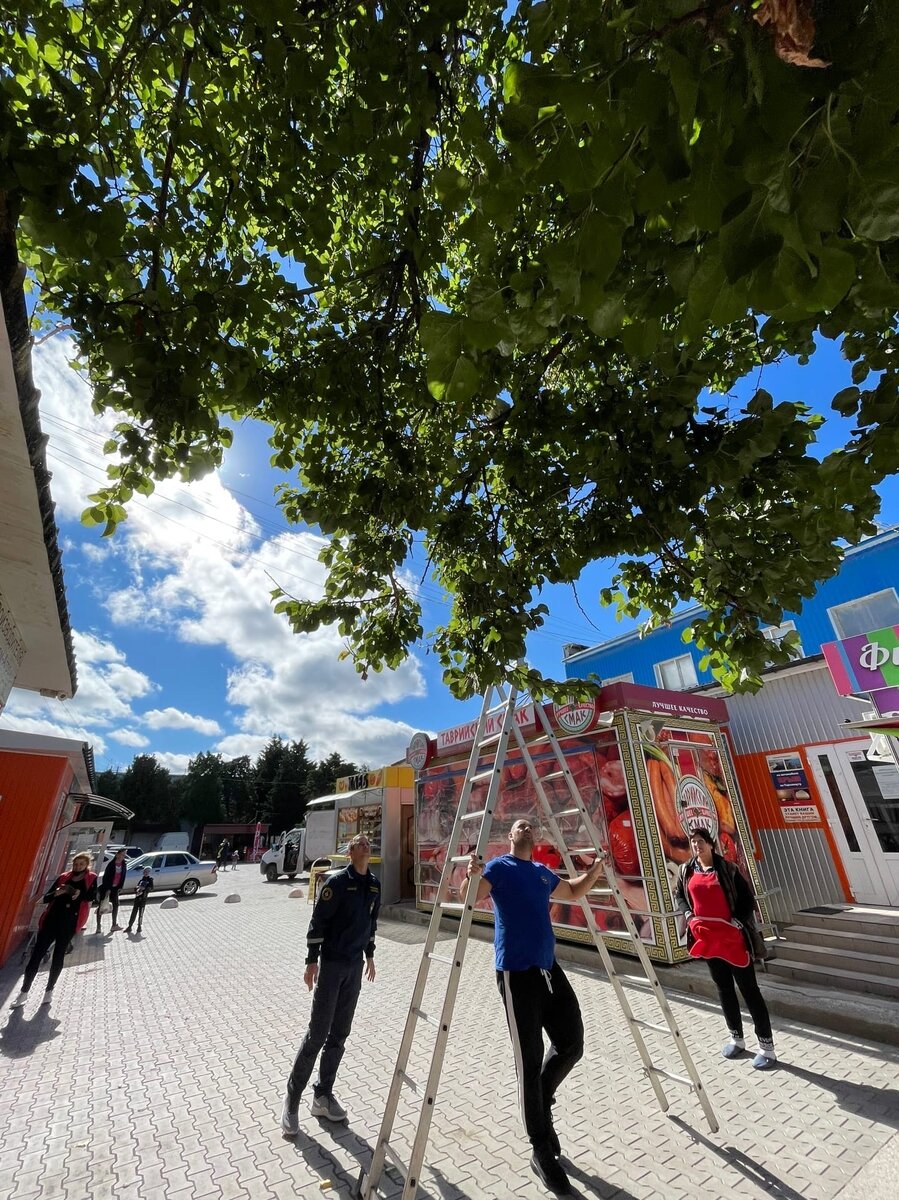 Фото предоставлено инициатором спасения котёнка