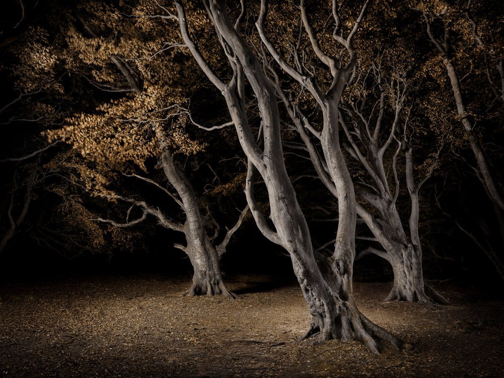     / Jasper Goodall    "   "