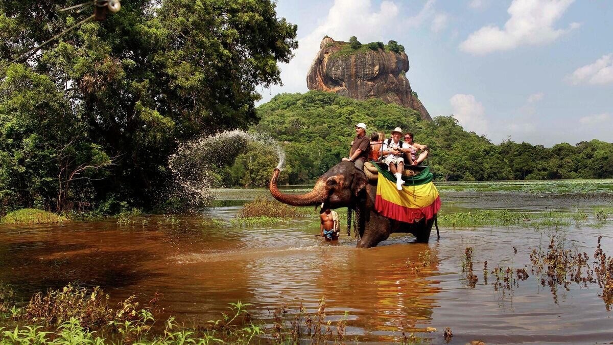 Слон поливает водой туристов во время сафари в Сигирии© AP Photo / Gemunu Amarasinghe