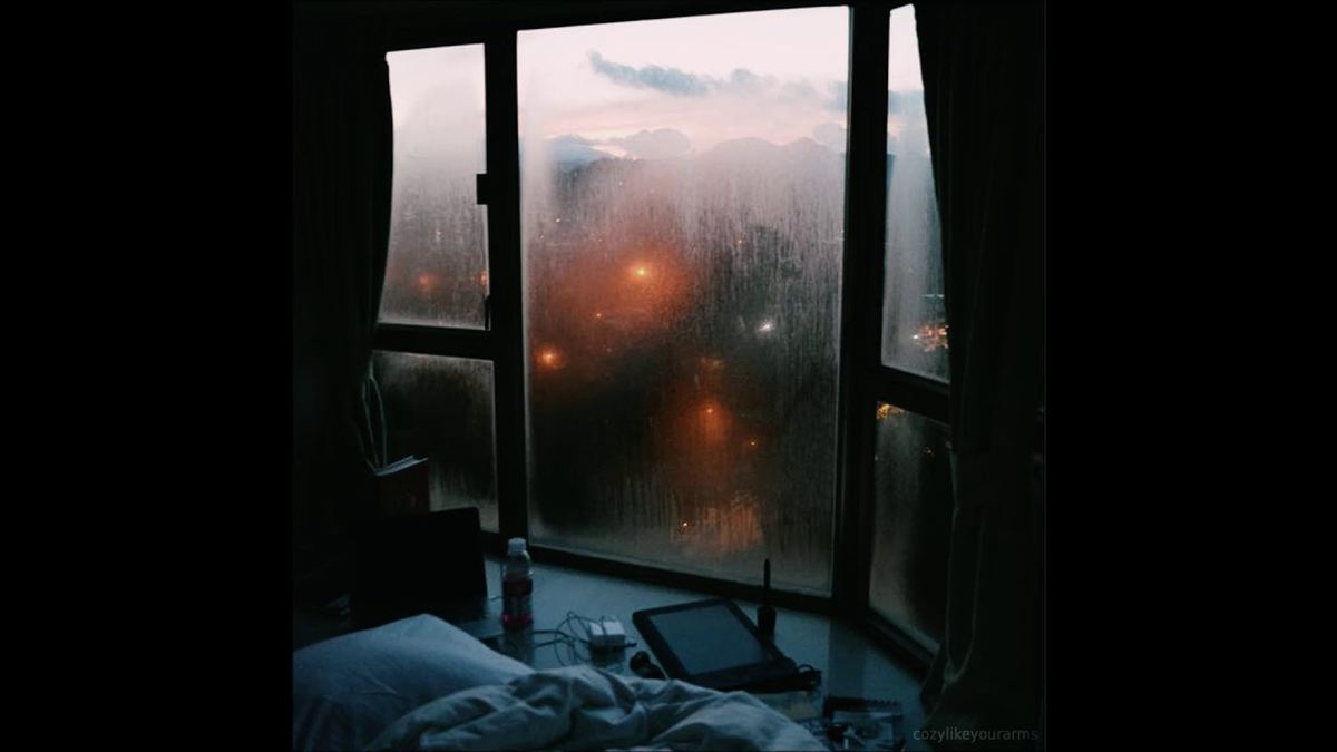 Яндекс Картинки.