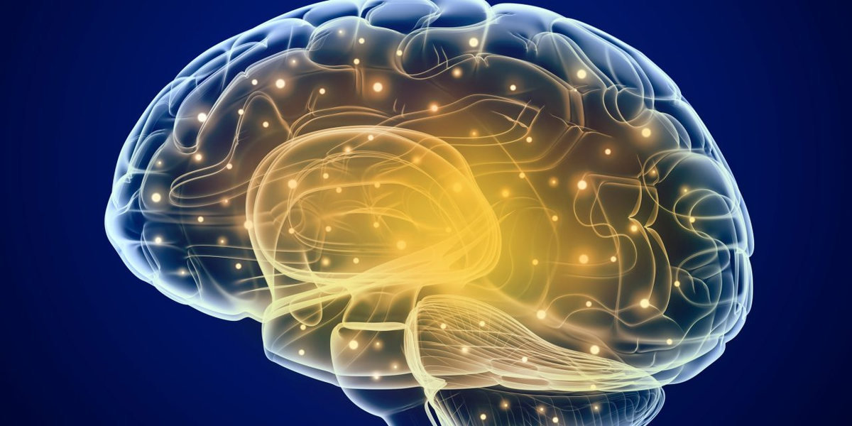 Картинка из открытых источников