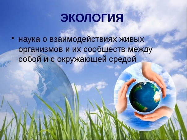 А ты подпишись чтобы не пропустить интересное!