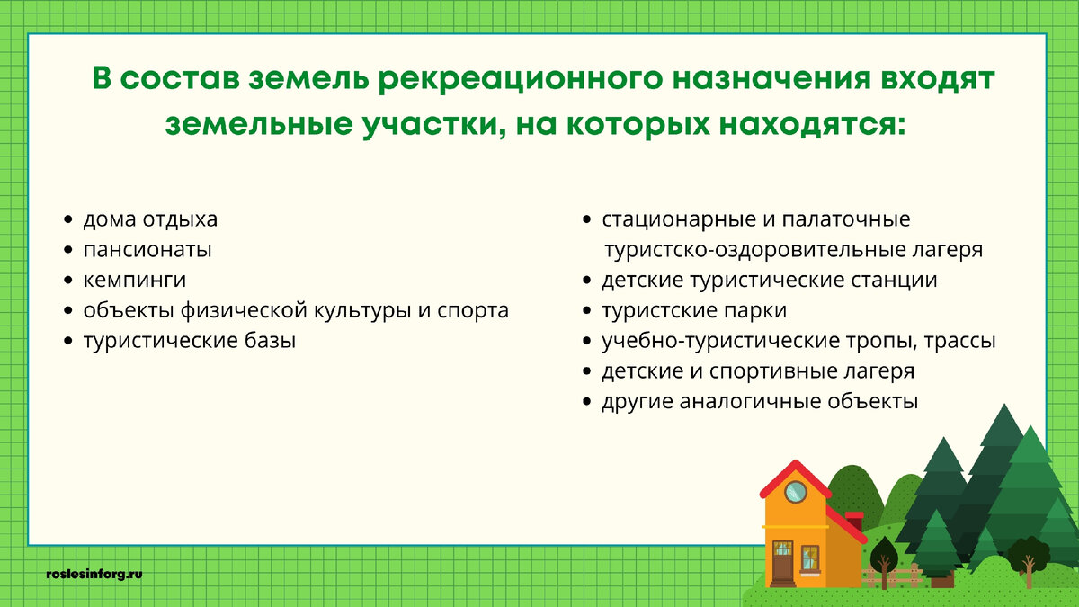 Рекреационные цели назначения земли: что это значит? | Рослесинфорг | Дзен