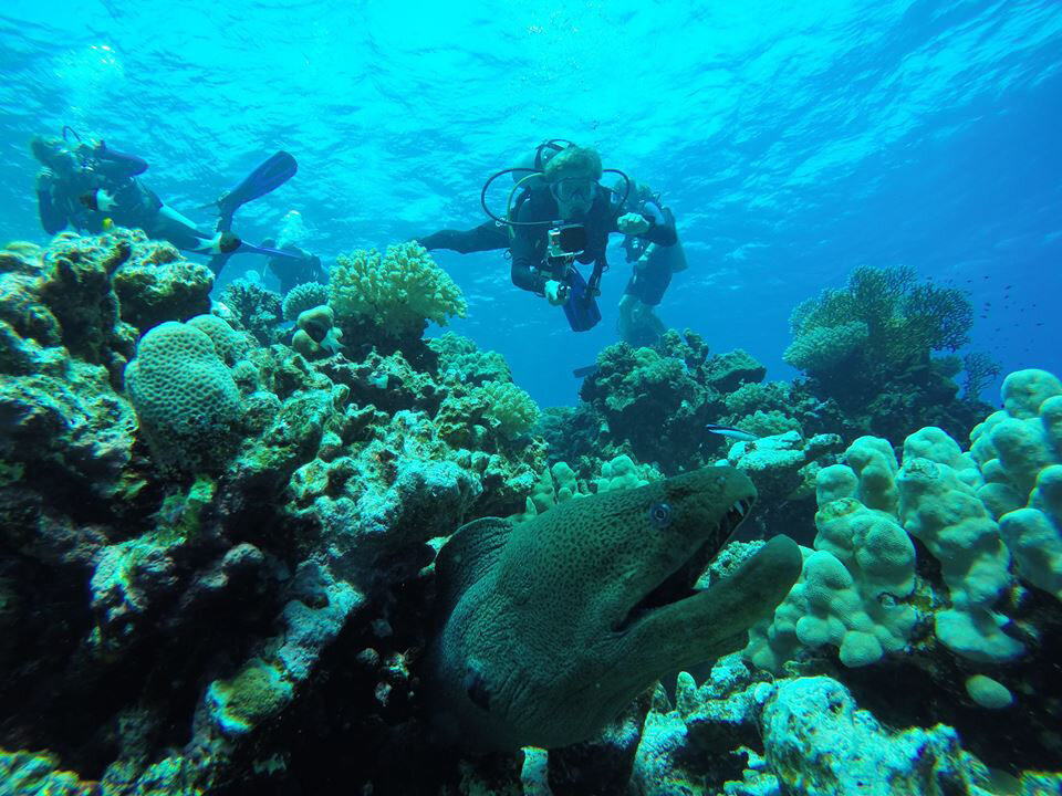 Красное море в шармаль Шейхе