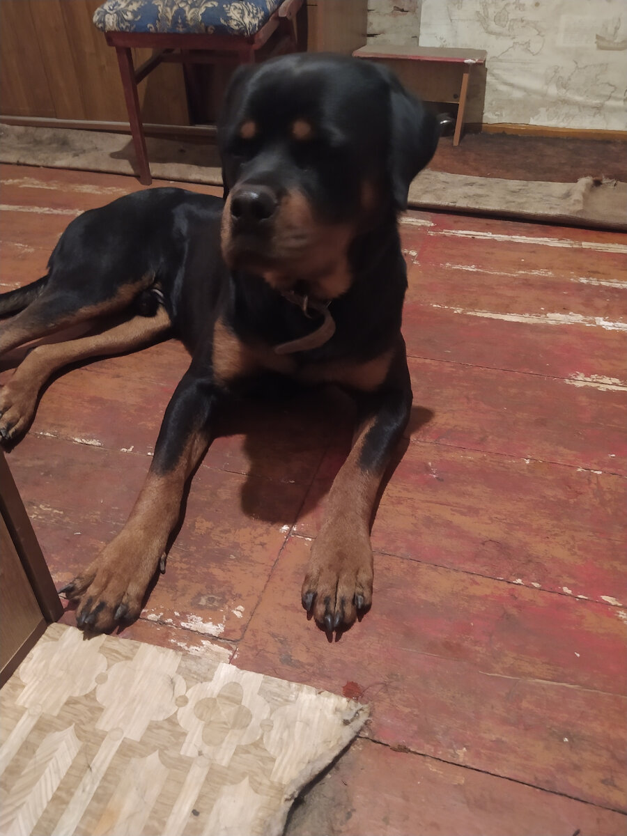 Папу не пускают