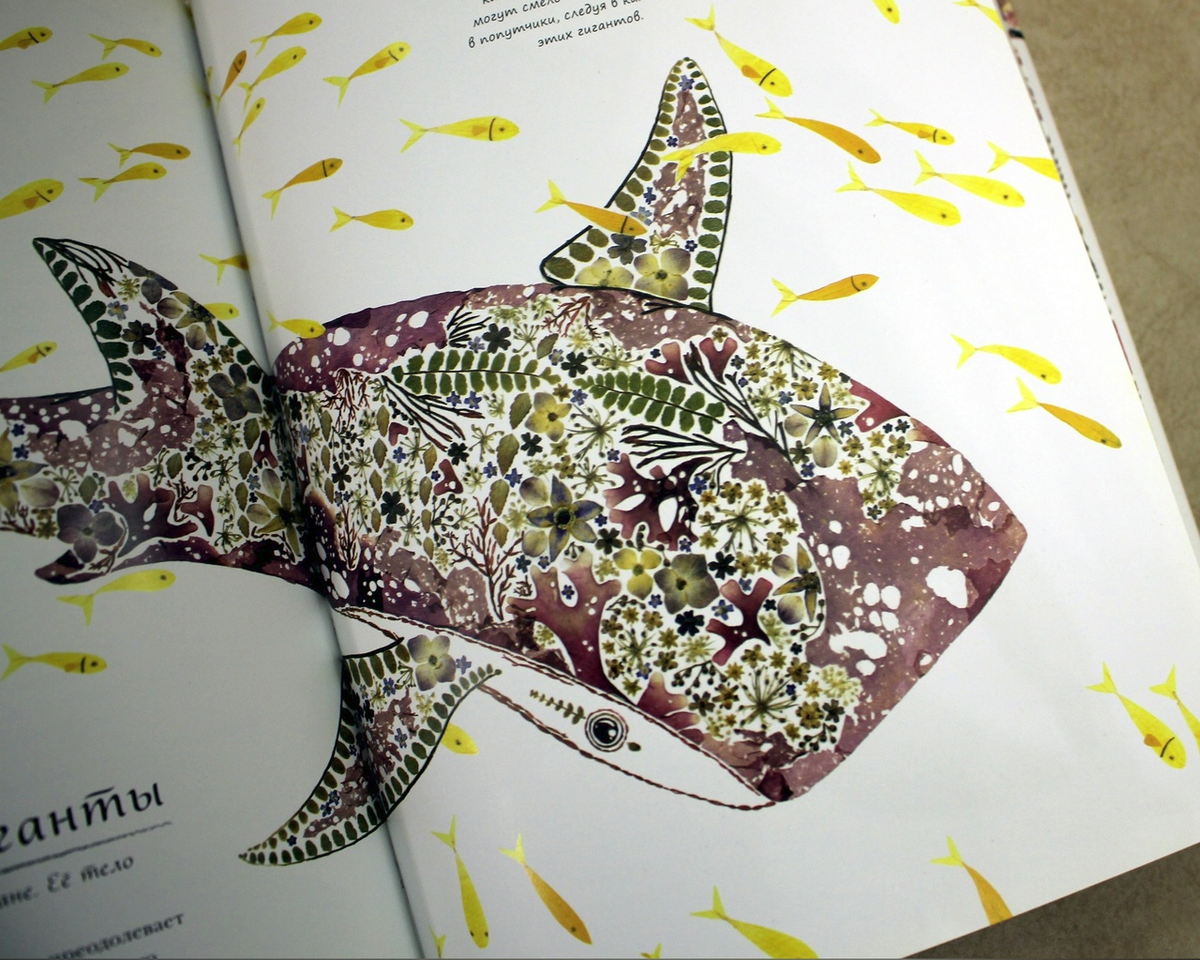 Приступим к знакомству с иллюстрациями