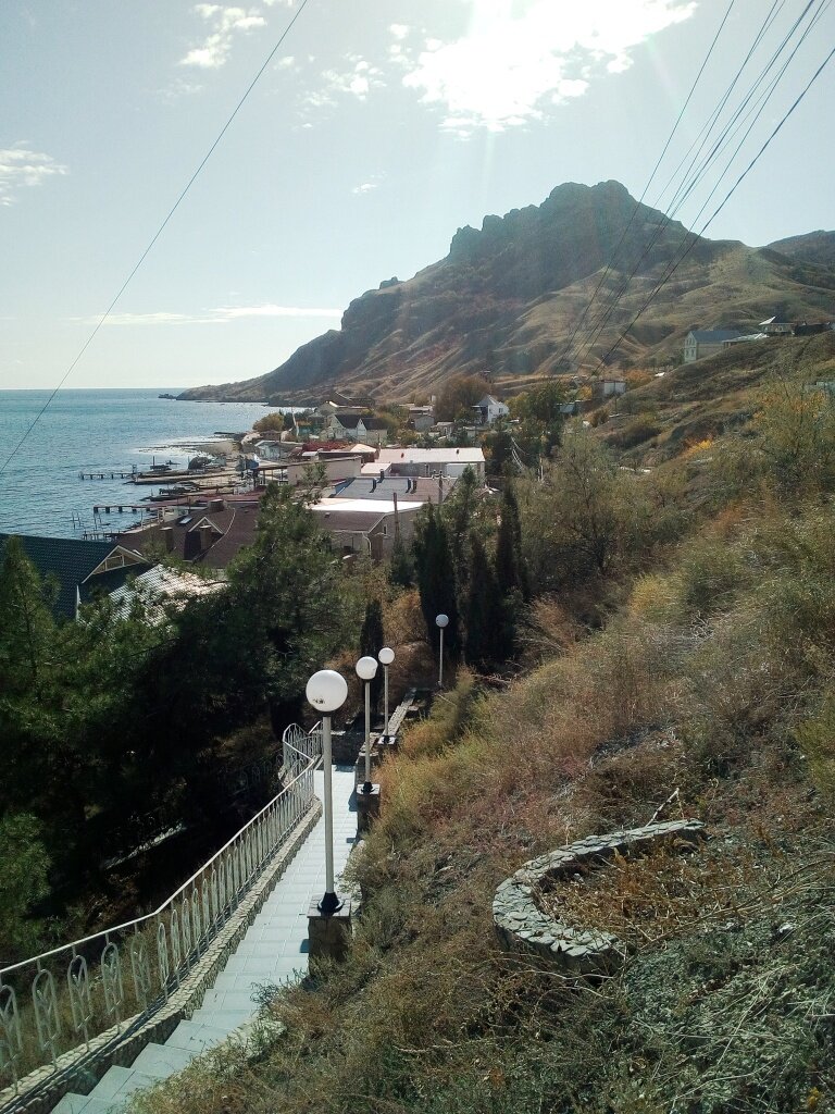 На лестнице здоровья. Фото автора канала
