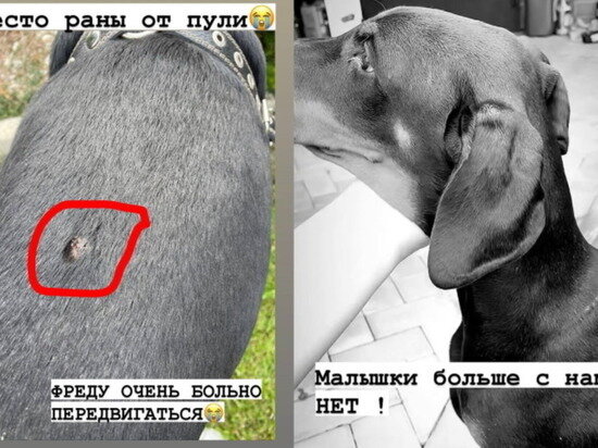     Фото: alinamorozova6974