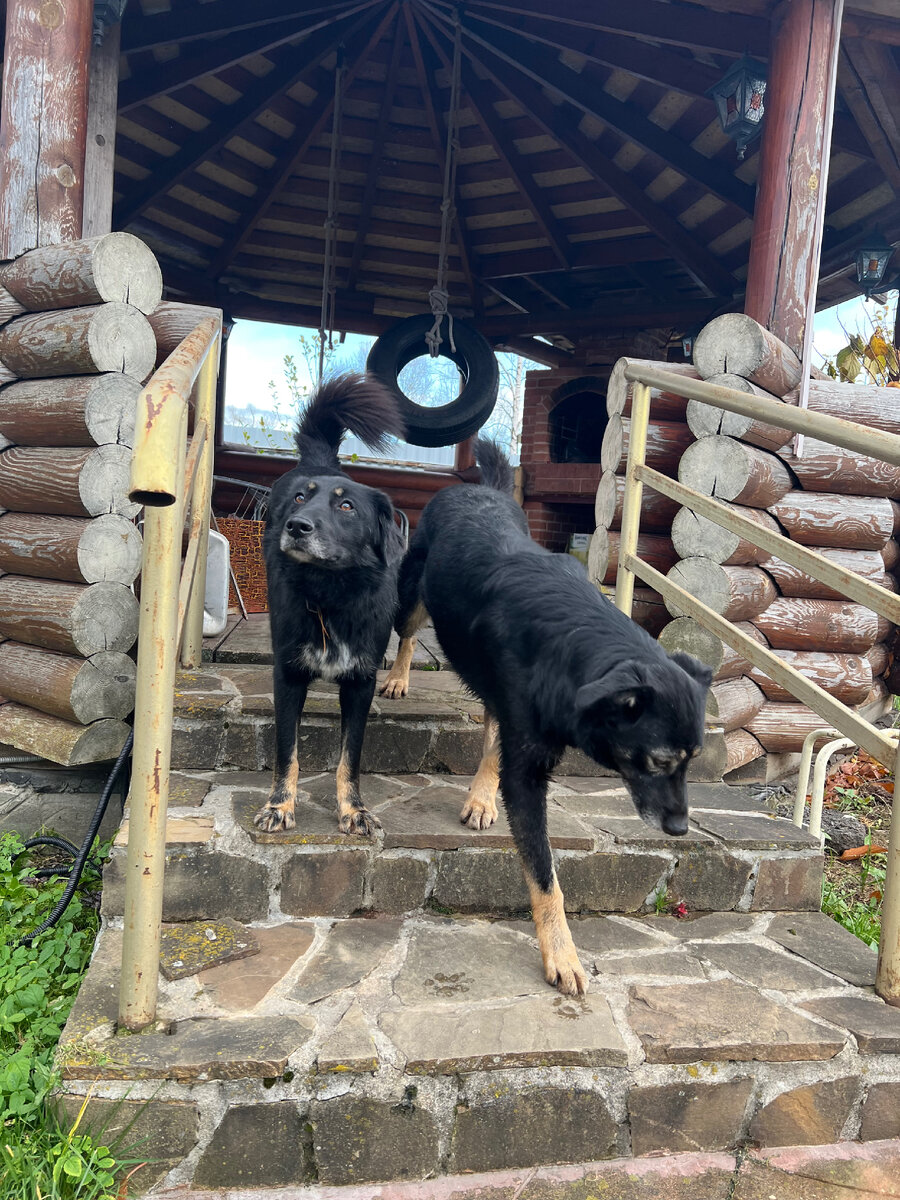 И чего это ты меня тут фоткаешь?