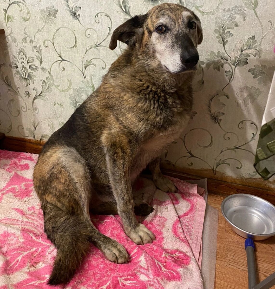 Аппетит только пропал . 