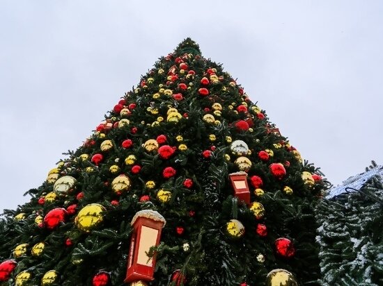     фото Густаво Зырянова