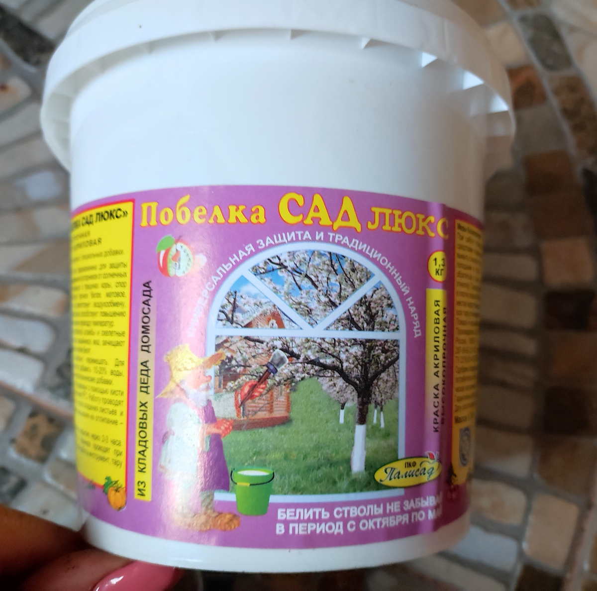 Фото автора, побелка садовая, ноябрь 2022 года